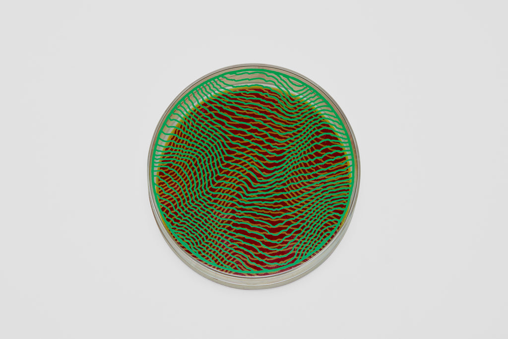 Henry Pearson Moiratron for the MoMA 1968